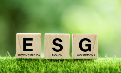Udržitelnost v korporacích? Na FMV se studenti s problematikou ESG seznamují v mnoha kurzech!