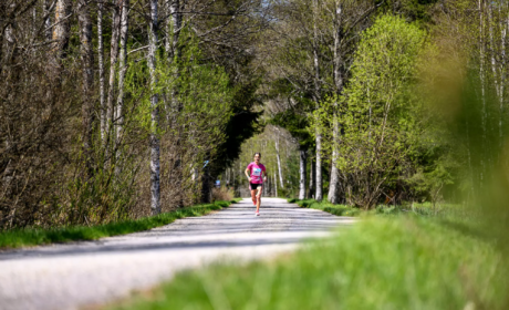Vltava Run 2026